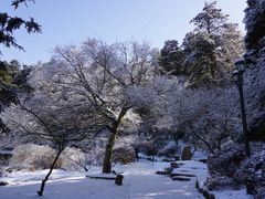 -庐山风景区花径公园
