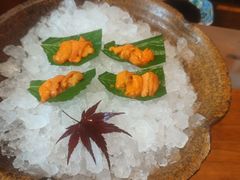 -月龍吟(朝龙汇店)