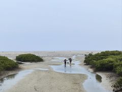 -北海金海湾红树林生态旅游区