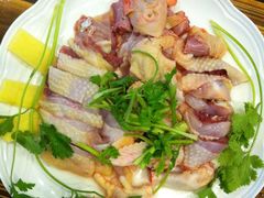 -鸭嘴鱼
