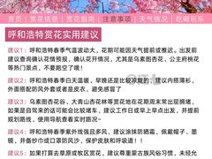 -乌素图国家森林公园