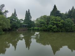 -上海滨江森林公园