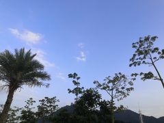 -白石龙音乐公园
