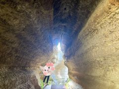 -黎坪国家森林公园