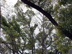 -东湖落雁景区