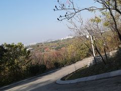 -济南国际园博园