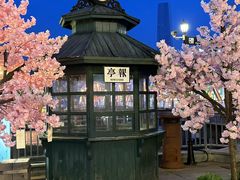 -武汉知音号