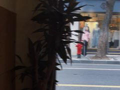 -Radar Coffee(思南路店)