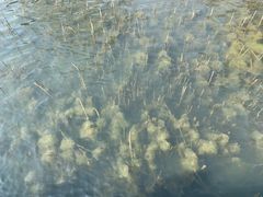-太湖湖滨国家湿地公园-停车场