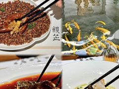 -觀芷隐轩