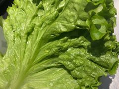 -合易泓烤肉•首创生椰大油边(宁山路店)