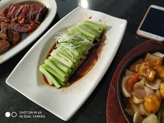 -云中小雅