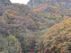 -关门山森林公园