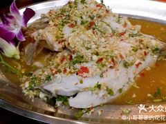 -荷花泰菜(东方新天地店)