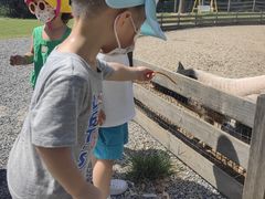 -前小桔亲子创意农场·草莓采摘·露营烧烤