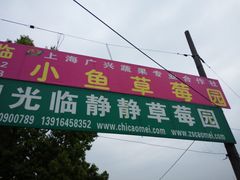 -小鱼草莓采摘园农家乐·小鱼餐厅