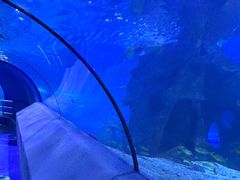 -太平洋海底世界