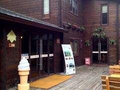 小木屋-合肥滨湖国家森林公园