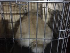 -雨林宠物医院 非犬猫异宠专科