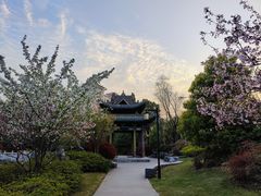 -武汉园博园(武汉自然博物馆)
