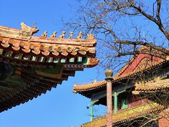 -故宫博物院(故宫)