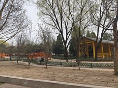-太阳宫公园