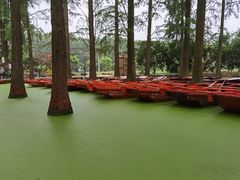 -About Bistro關於·泰式家庭料理