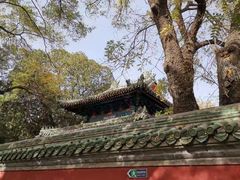 -北京国子监胡同