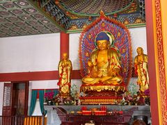 -上海东林寺(金山区)