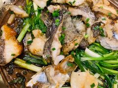 香葱焗石斑鱼-尚一汤·粤菜海鲜(环球港店)