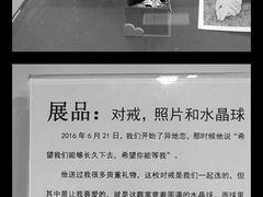 -成都失恋馆