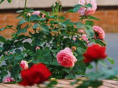 -上海交通大学(闵行校区)