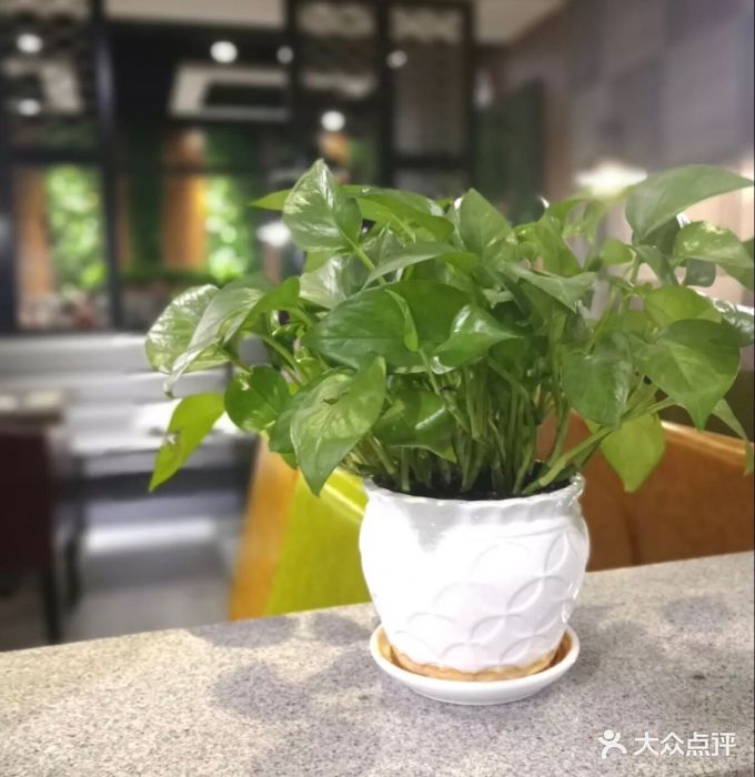 阿瓦山寨(北美n1店)图片