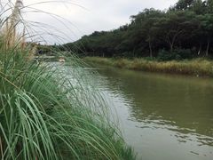 -南湖湿地公园