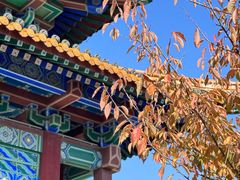 -阅江楼风景区