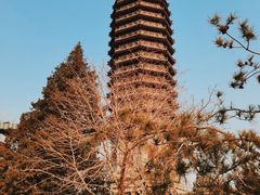 -西海子公园