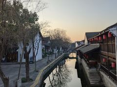 -鲁镇