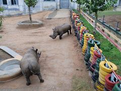 -西霞口神雕山野生动物世界