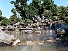 -东莞植物园