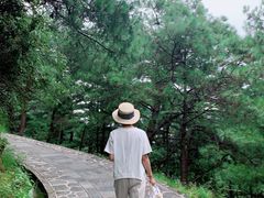 -苍山感通索道