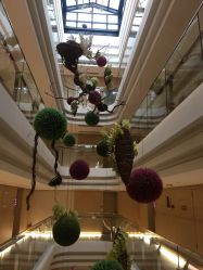点击看大图 -爱弥儿月子中心(省医院店)