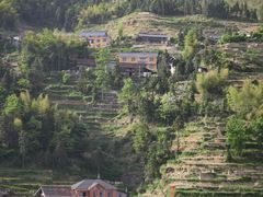 -紫鹊界梯田景区