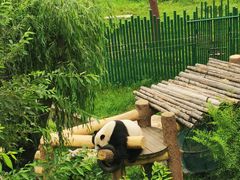 -沈阳森林动物园