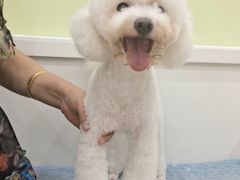 -瑞鹏宠物医院犬猫全科(真大分院)
