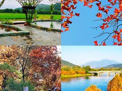 -广州市流溪河国家森林公园