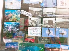 -南丫岛