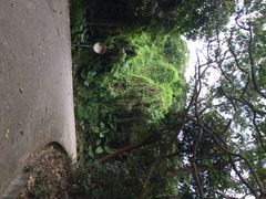 iphone_upload_pic-南丫岛