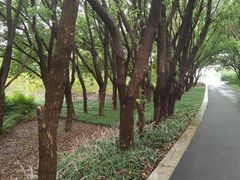-同里国家湿地公园