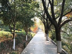 -天目湖山水园