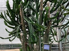 -南山植物园
